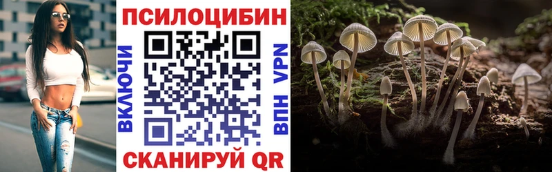KRAKEN ТОР  что такое наркотик  Сковородино  Галлюциногенные грибы GOLDEN TEACHER 